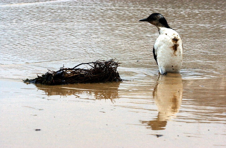 Fd-2024-01-27-giz_030127_9117