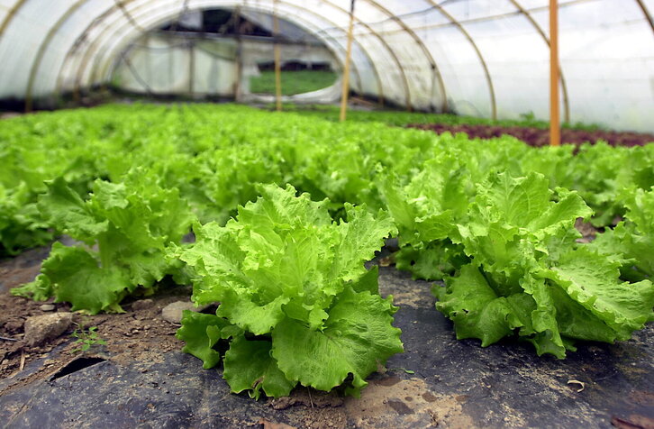 Fd-2024-01-27-eko_040127_1067