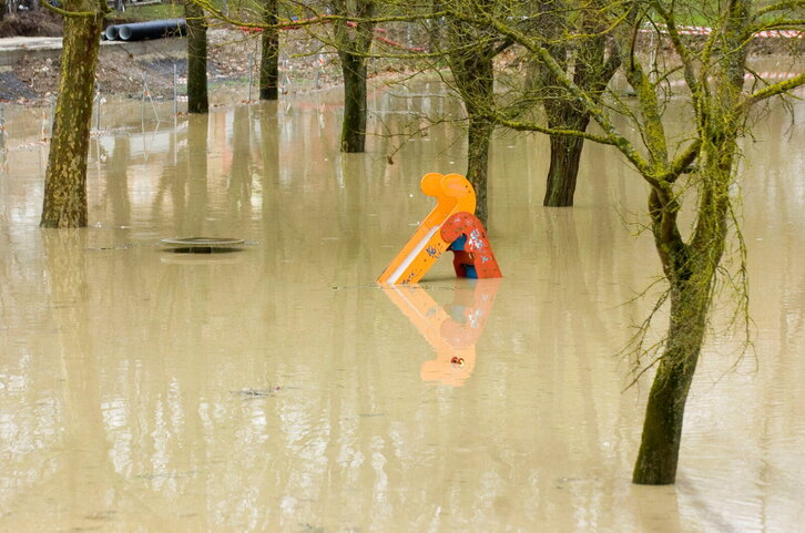 Fd-2024-01-27-nat_090127_0266