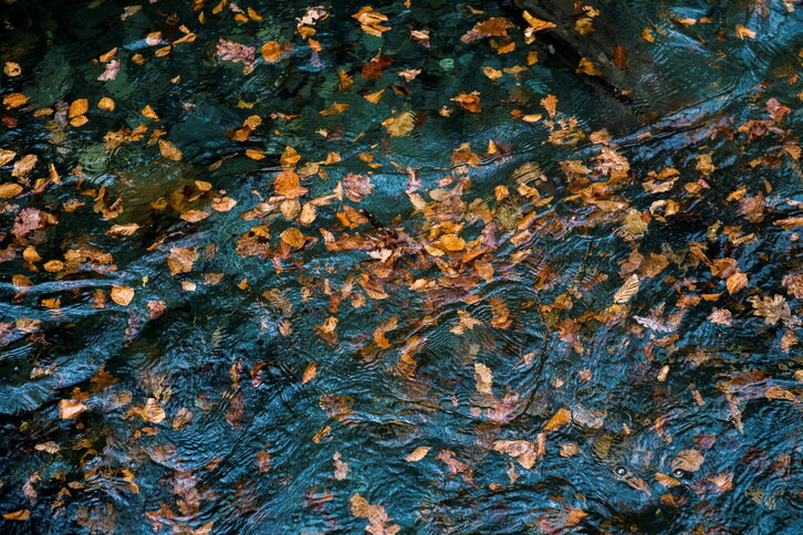 Fd-2024-01-27-nat170127_0029