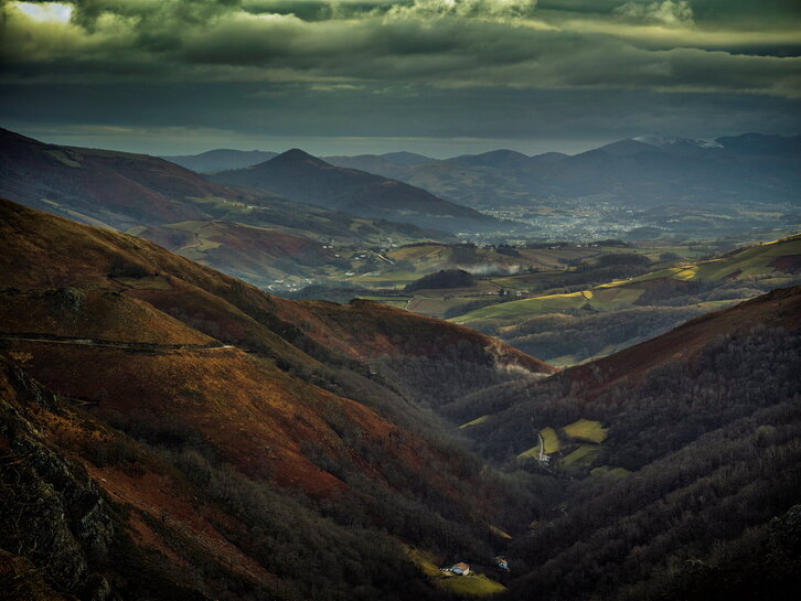 Fd-2024-01-28-nat170128_0017