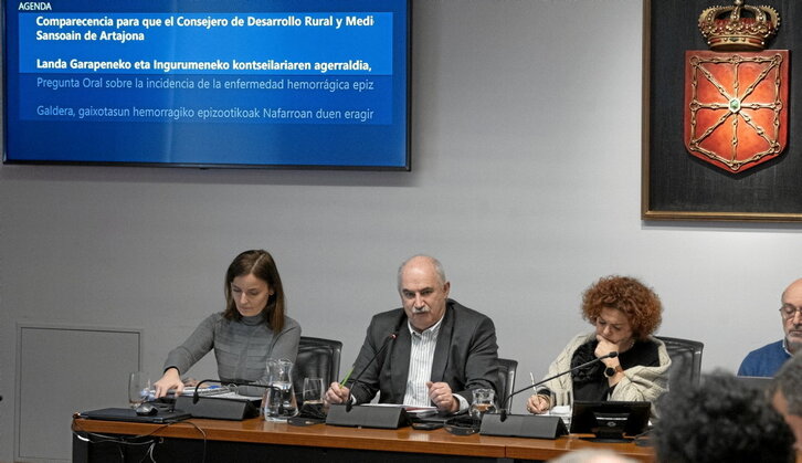 El consejero de Desarrollo Rural y Medio Ambiente navarro, José María Aierdi.