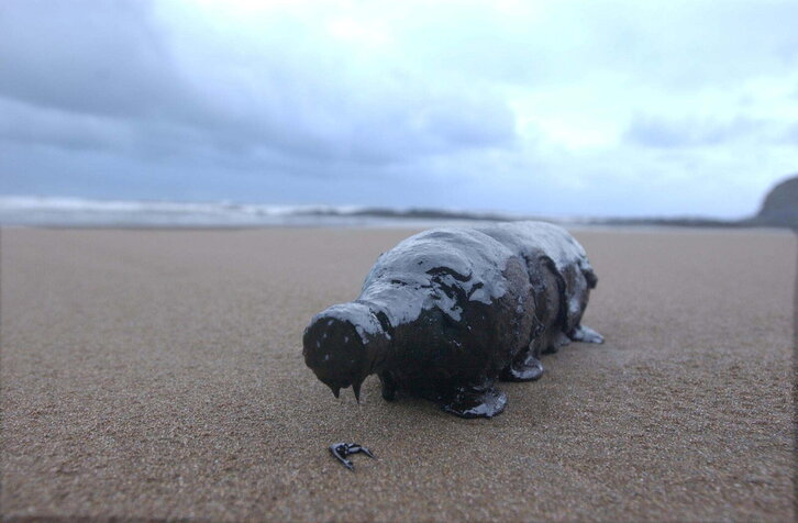 Fd-2024-01-30-giz_030130_7133