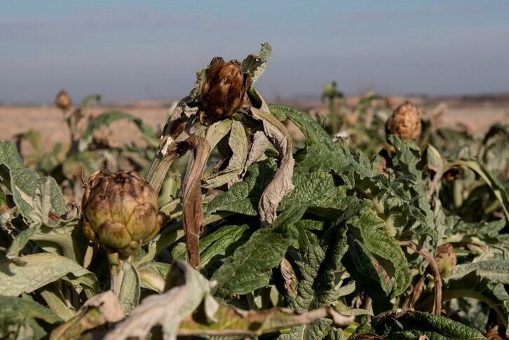 Fd-2024-02-01-gas170201_0046