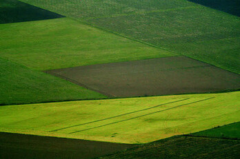 Vista de un mosaico de campos cultivados en Orduña