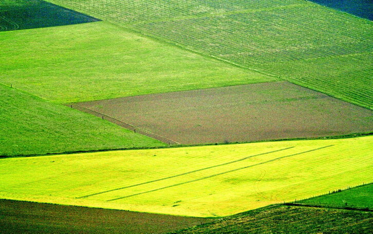 Vista de un mosaico de campos cultivados en Urduña