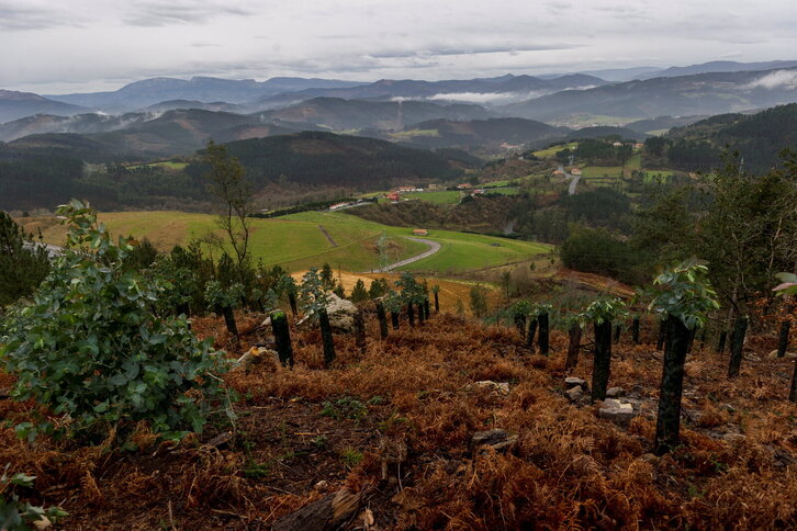 Fd-2024-02-04-pol170204_0007