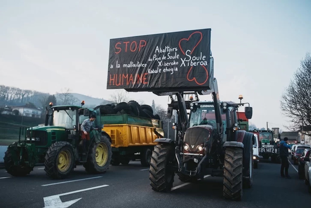 Marraskio operazioa abian eman dute laborariek Mauleko hiltegiaren krisia salatzeko.