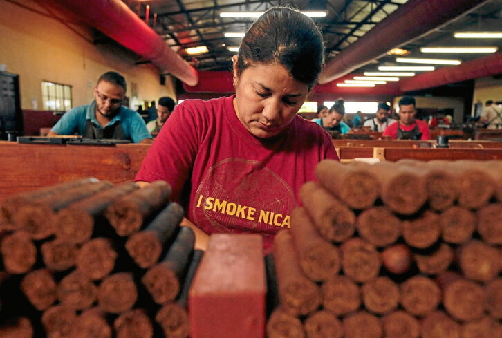 Una empleada trabaja en una planta de fabricación de puros.