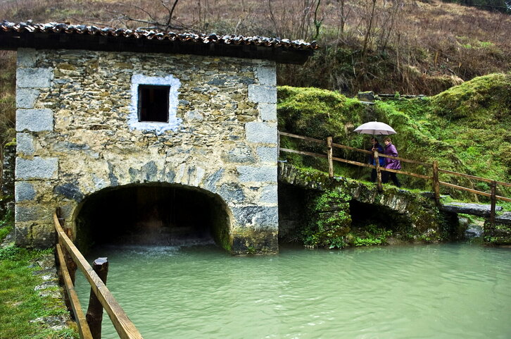 Fd-2024-02-08-giz_090208_0947(1)