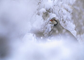 gara-2024-02-05-Reportaje