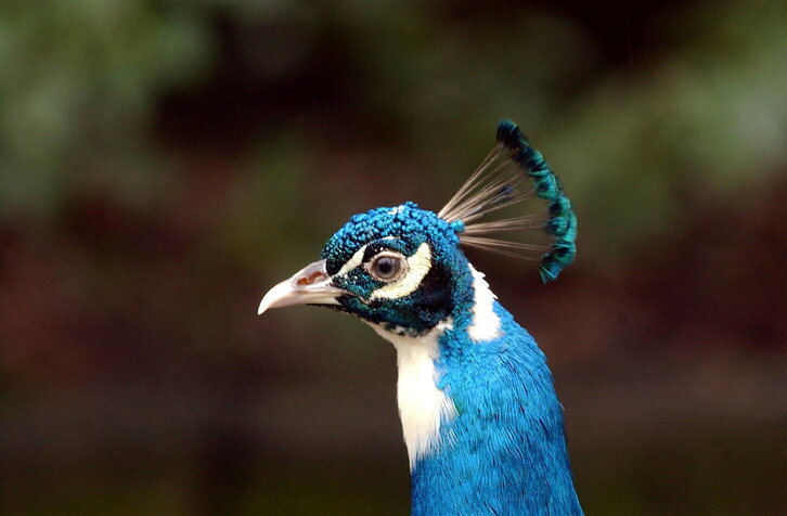 Fd-2024-02-13-nat_030213_1420