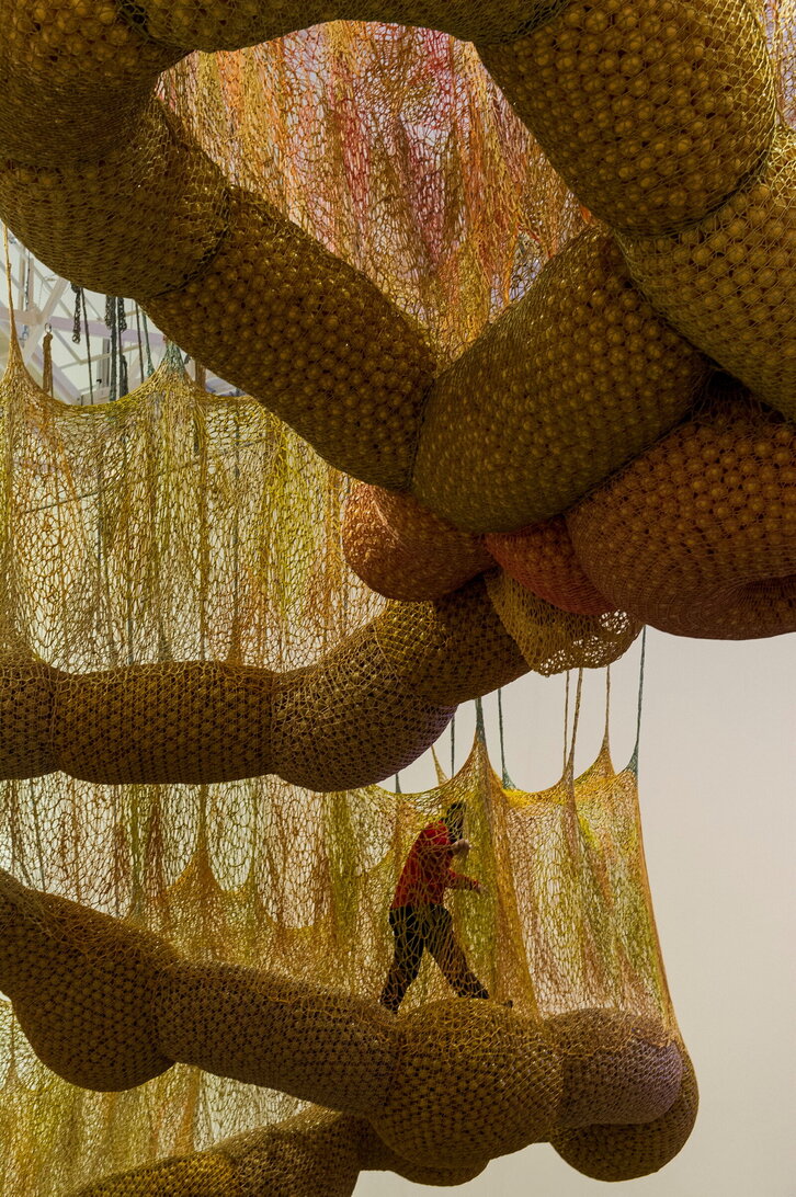 Fd-2024-02-13-kul140213_0025