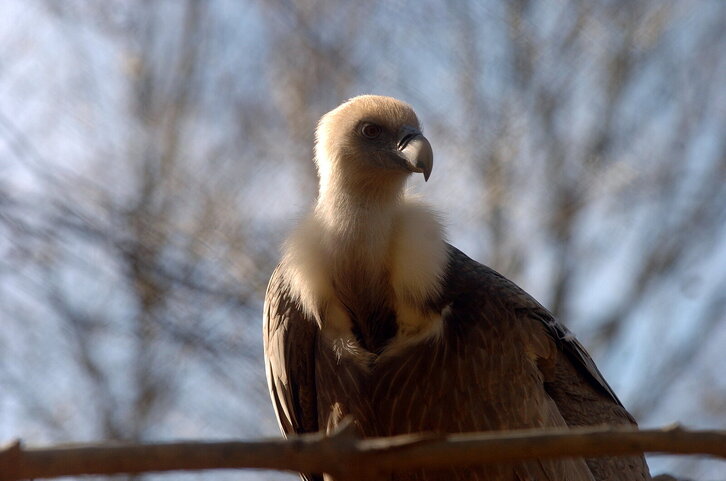 Fd-2024-02-15-giz_070215_2795