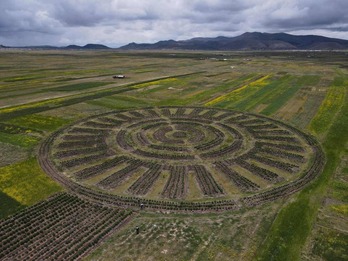 Vista aérea de un Waru-Waru en Puno, Perú.