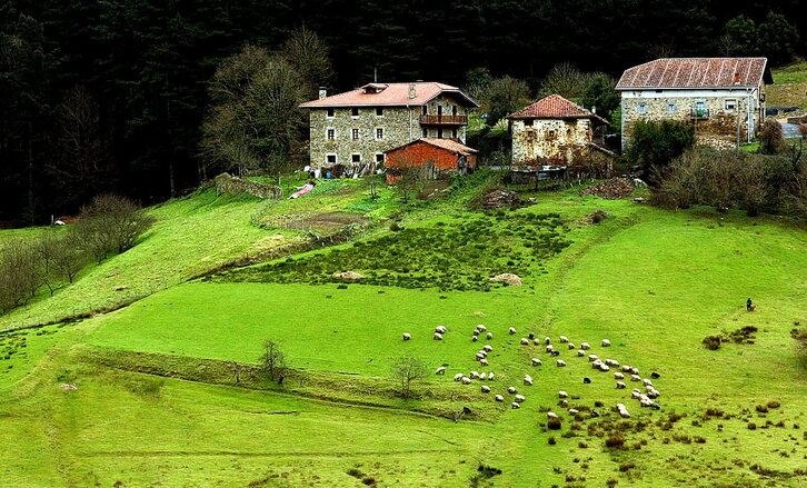 Fd-2024-02-19-giz_030219_0106