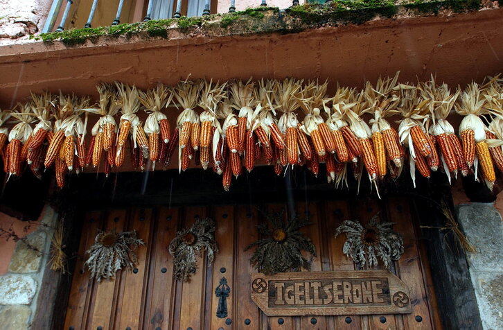 Fd-2024-02-20-giz_040220_4873