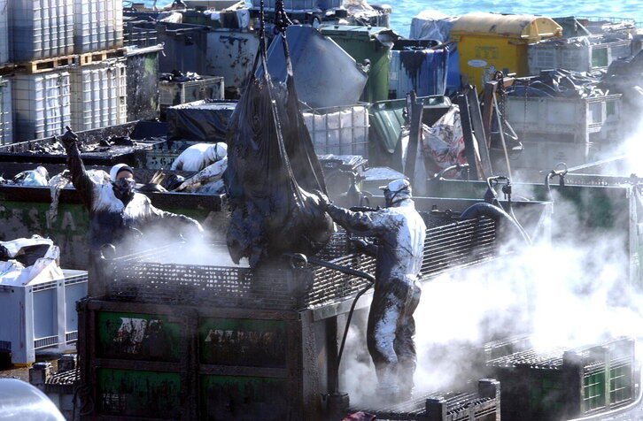 Fd-2024-02-21-giz_030221_0845