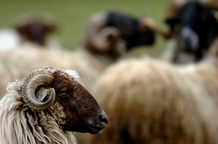 Fd-2024-02-21-nat_060221_0558