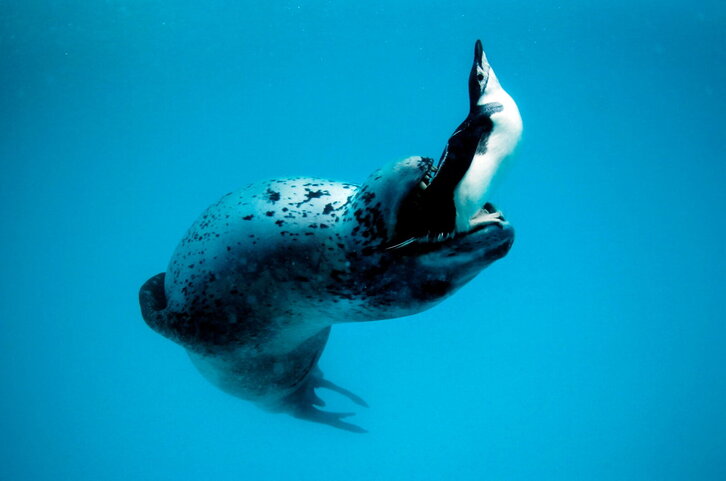 Fd-2024-02-21-nat_090221_0046