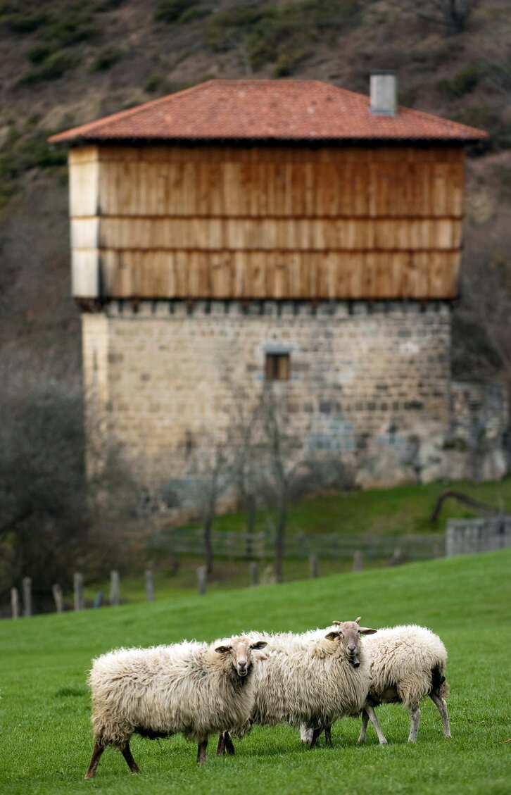 Fd-2024-02-21-nat_100221_0115