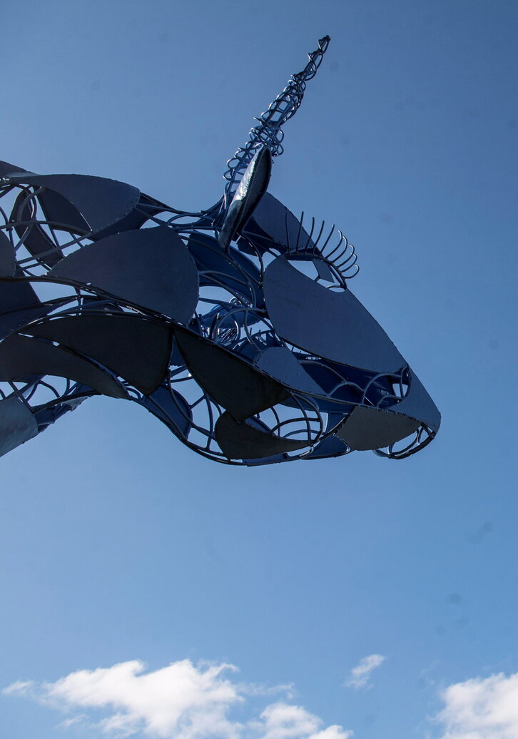 Fd-2024-02-21-kul200221_0071