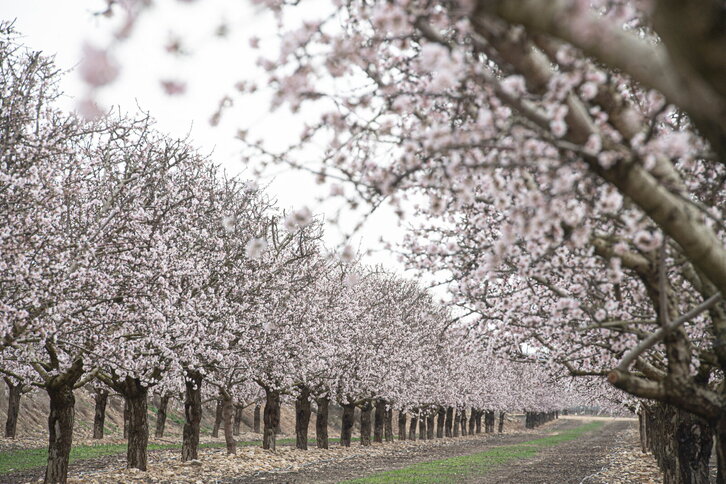 Fd-2024-02-21-bb_20210221008588