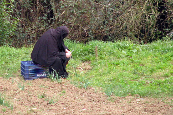 Fd-2024-03-01-giz_080301_1554