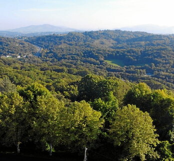 L’association craint que le projet E-cho mette en péril les forêts.        Julien MARCHIONE