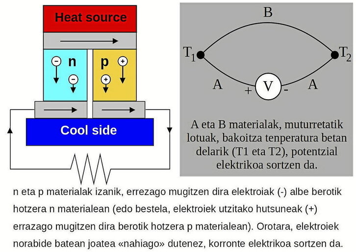 Ilustrazioa: GORKA ZOZAIA