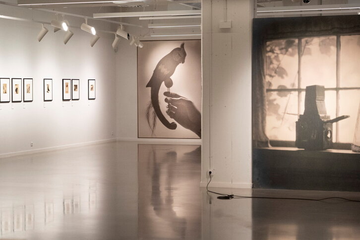 Fd-2024-03-04-aa_20210304010994