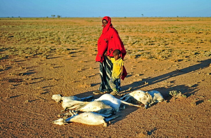 Somalia es uno de los estados más afectados por el hambre.
