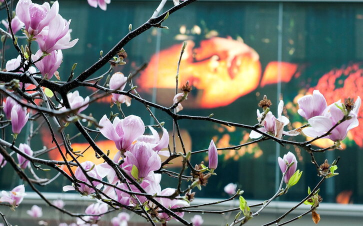 Fd-2024-03-10-nat_100310_0199