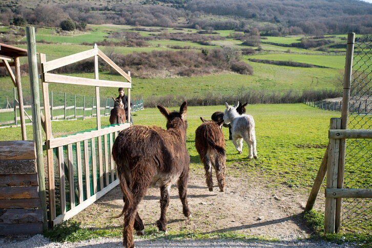 Fd-2024-03-11-azp140311_0009