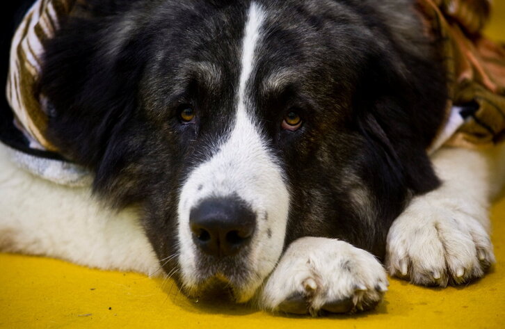 Fd-2024-03-12-giz_110312_0039