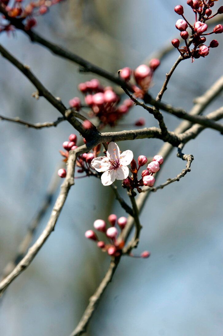 Fd-2024-03-15-nat_060315_0486