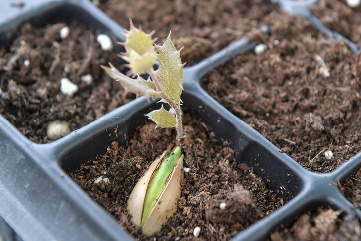 Fd-2024-03-15-aa_20210315013066