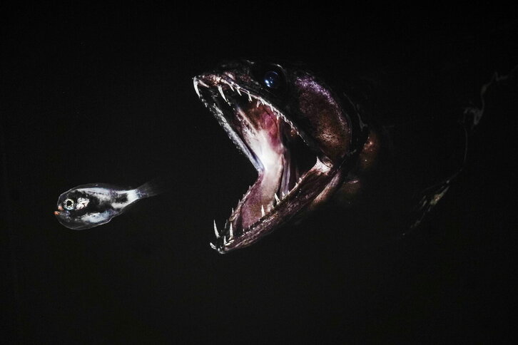 Fd-2024-03-15-aa_20230315292260