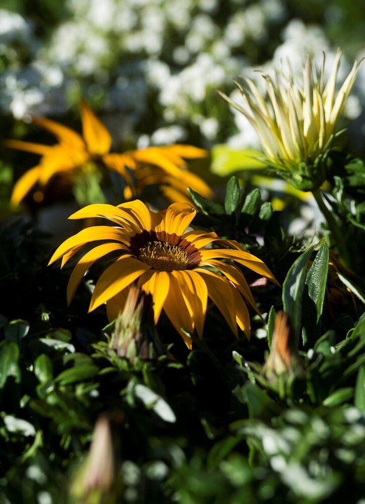 Fd-2024-03-16-nat170316_0011