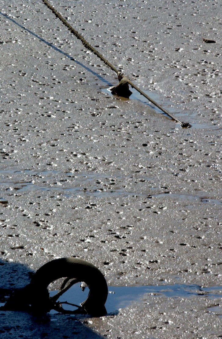 Fd-2024-03-18-nat_030318_0693