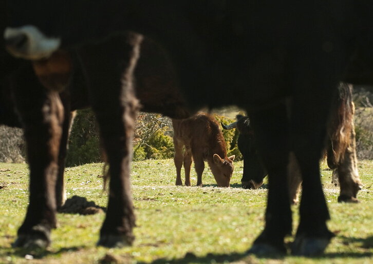 Fd-2024-03-18-giz_090318_5136