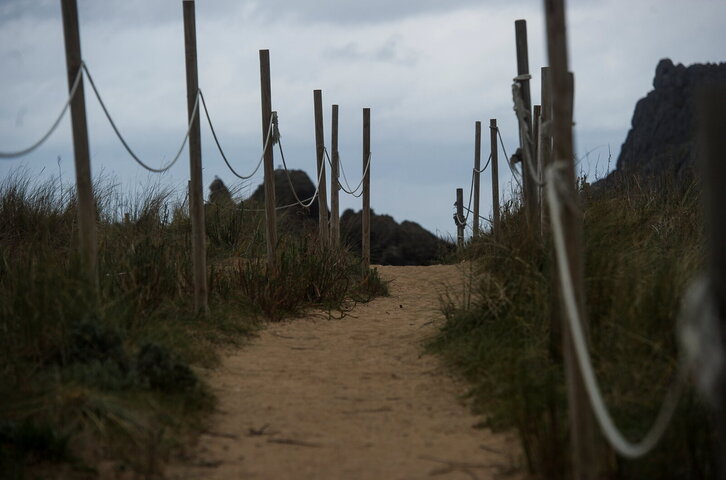 Fd-2024-03-18-nat140318_0005