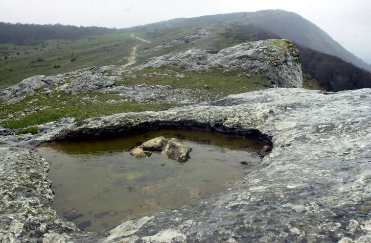 Fd-2024-03-19-etx_010319_236754