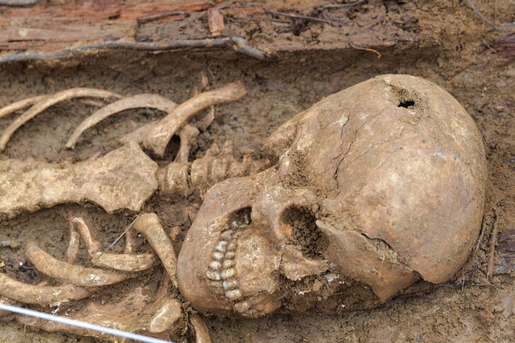 Fd-2024-03-21-bb_20220321091984