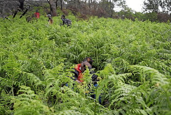 Muga mendiz mendi ezkutuan pasatzeko ahaleginean, iratze artean dago Oumar. 2021eko maiatza da, Biriatu. Aden, Abdoulaye eta Ibrahima aurrerago ditu zain.