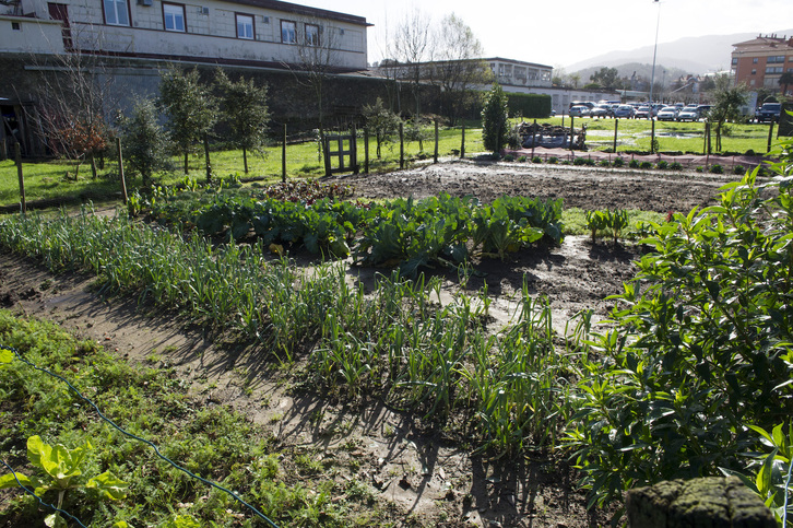 Baratza ekologikoaren gaineko ikastaroa apirilean eta maiatzean zehar egingo da.