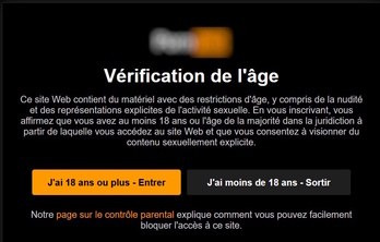 Un seul clic suffit pour attester sa majorité et accéder à des contenus pornographiques en ligne.