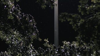 Fotograma de ‘Homing’.