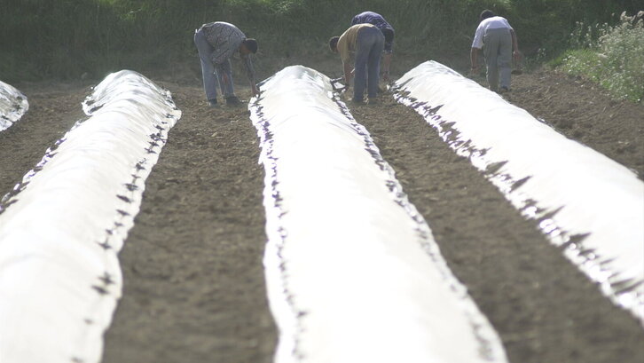 Fd-2024-03-23-etx_010323_262716