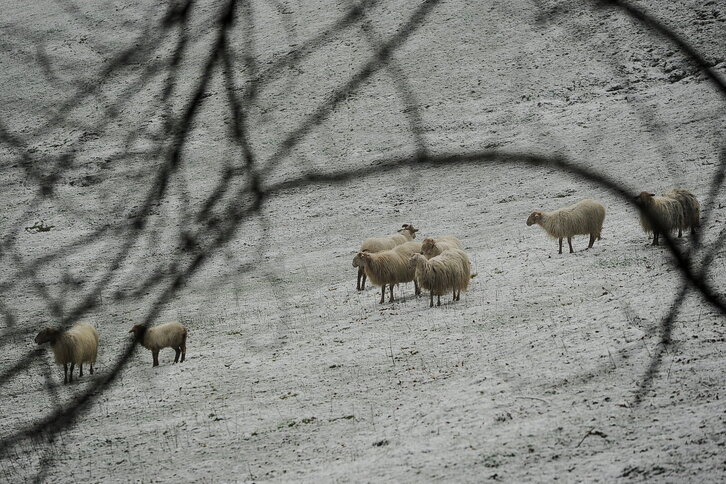 Fd-2024-03-23-nat140323_0099